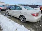 2004 Lexus Es 330 Base