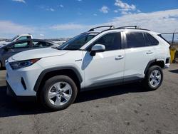Toyota Rav4 salvage cars for sale: 2019 Toyota Rav4 xle