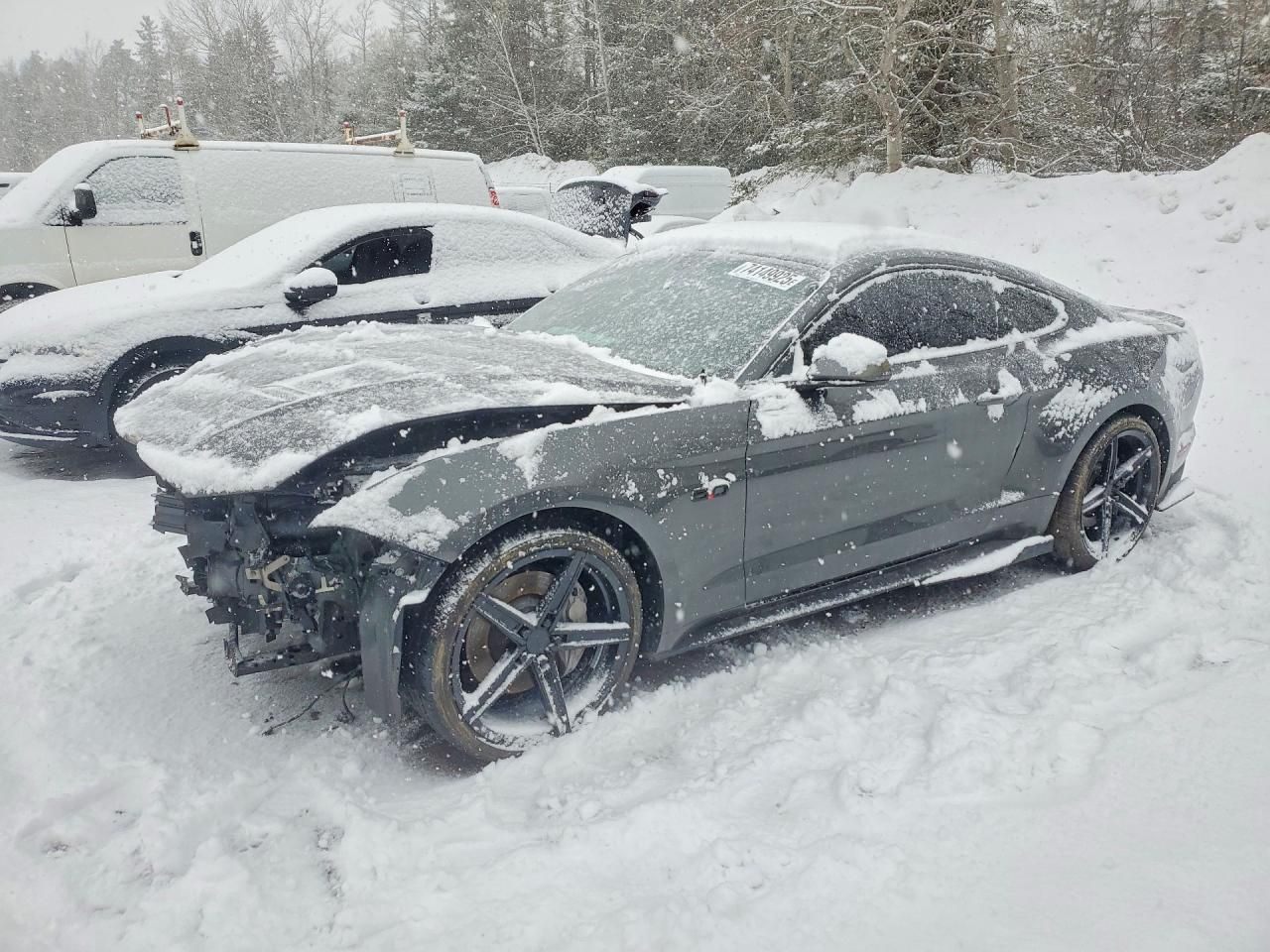 2019 Ford Mustang gt