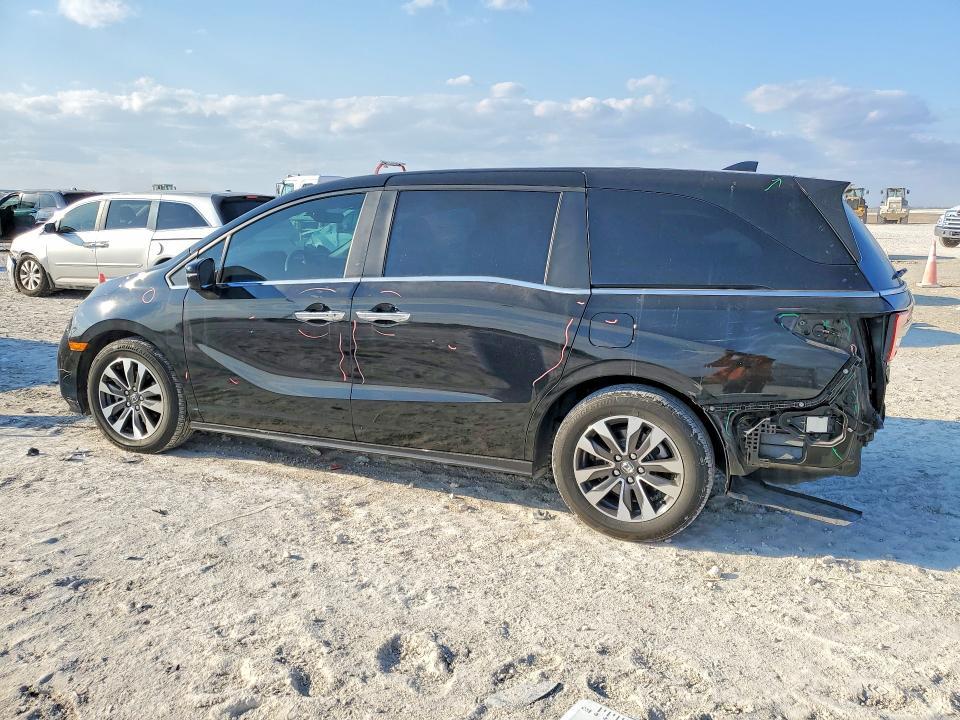 2024 Honda Odyssey exl