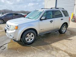 Ford Escape salvage cars for sale: 2010 Ford Escape Hybrid