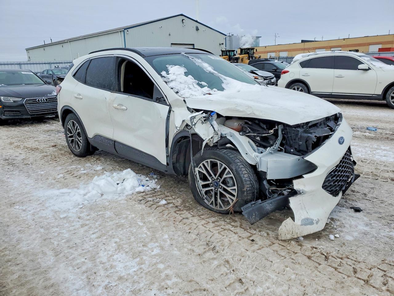 2020 Ford Escape sel