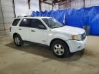 2008 Ford Escape xls