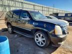 2008 Cadillac Escalade Luxury