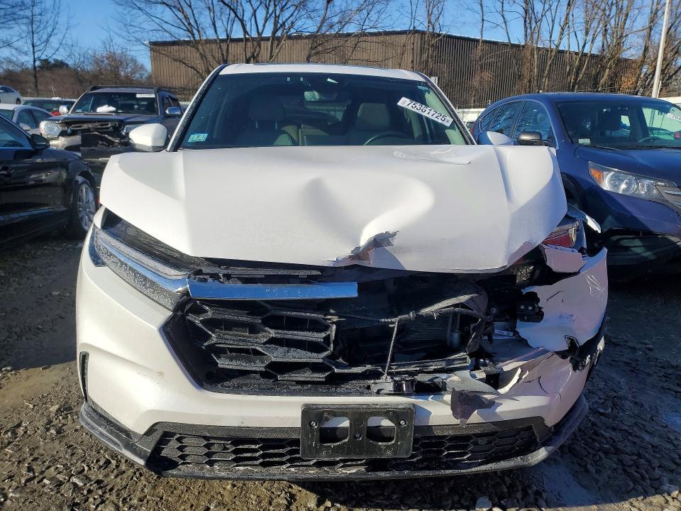2024 Honda Cr-v exl