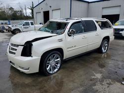 Cadillac Vehiculos salvage en venta: 2014 Cadillac Escalade esv Premium