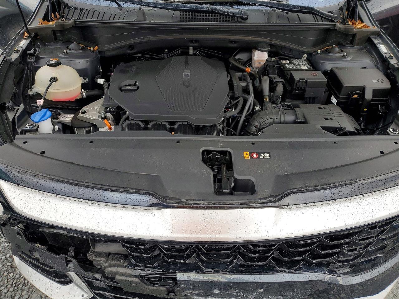 2024 KIA Sportage ex