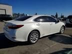 2013 Lexus Es 300h
