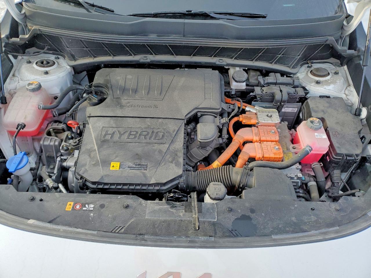 2025 KIA Niro lx
