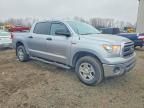 2010 Toyota Tundra