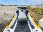2019 Sea-Doo Fish PRO