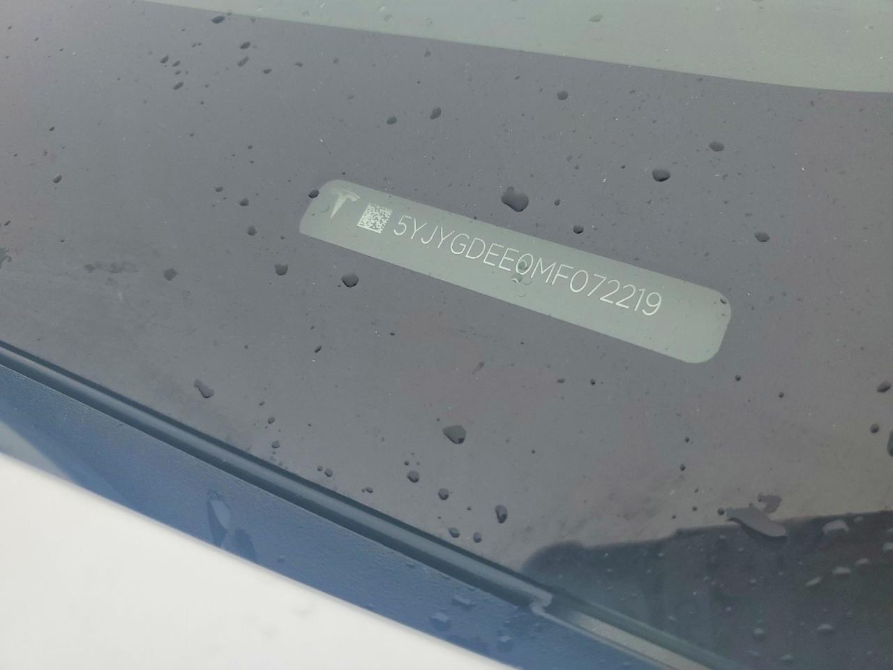 2021 Tesla Model y
