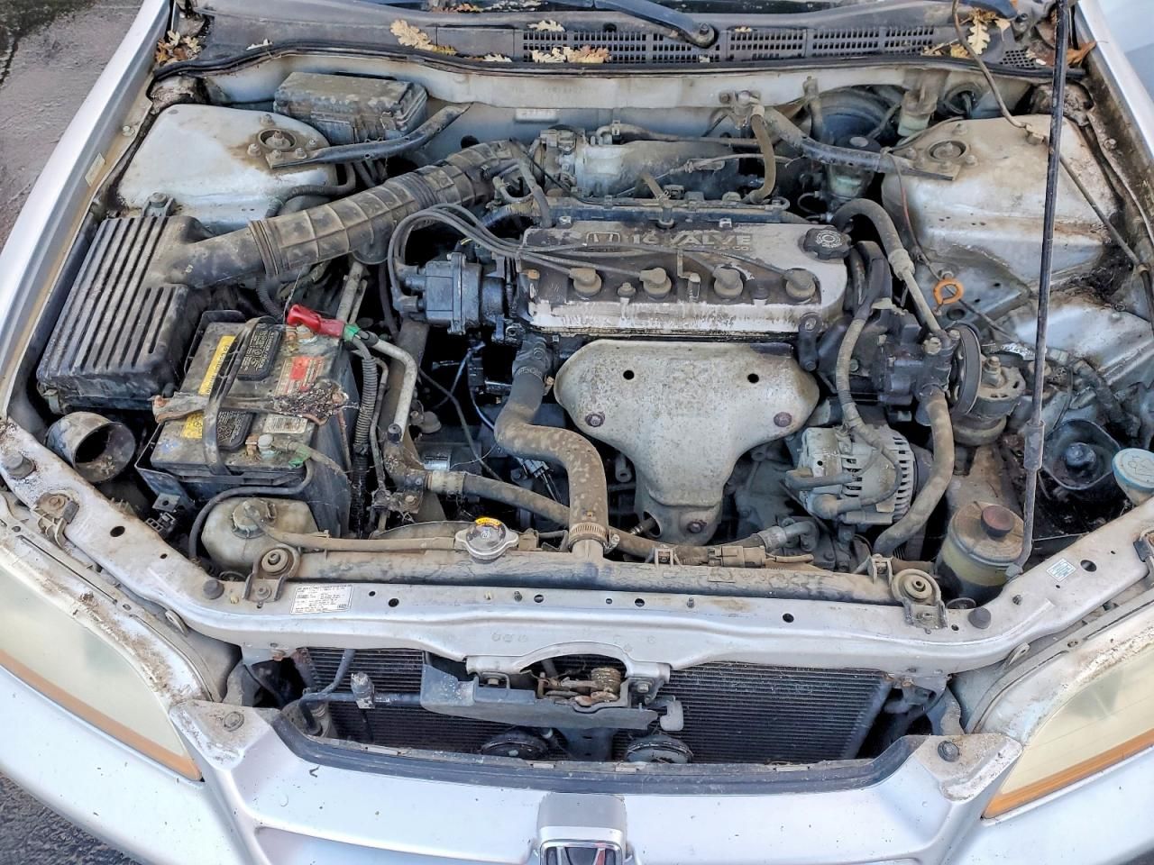 2000 Honda Accord dx