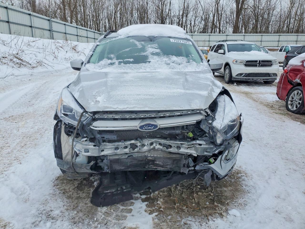 2019 Ford Escape sel