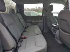 2024 Ford F150 Lightning xlt