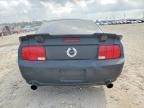 2006 Ford Mustang gt