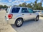 2008 Ford Escape xlt