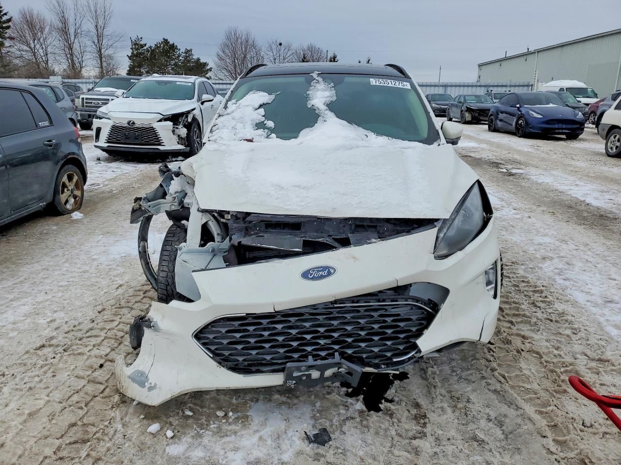 2020 Ford Escape sel