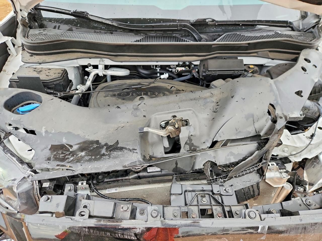 2023 Honda Passport Trail Sport