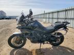 2025 Cf Moto Ibex 800 E