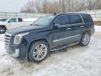 2015 Cadillac Escalade Luxury