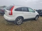 2010 Honda Cr-v exl