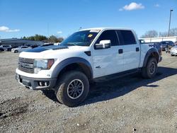 Ford F150 salvage cars for sale: 2012 Ford F150 svt Raptor