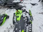 2026 Arctic Cat 2026 Arti ZR