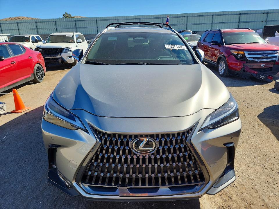2024 Lexus Nx 350h Base