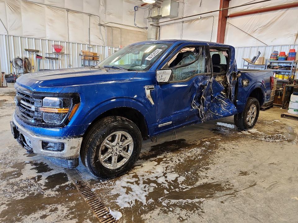 2024 Ford F150 xlt