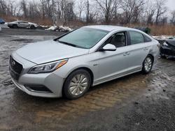 2016 Hyundai Sonata Hybrid se for sale in Marlboro, NY