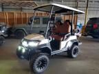 2024 Icon Ev Pure 4 Golf Cart