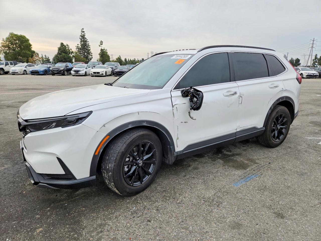 2025 Honda Cr-v Sport