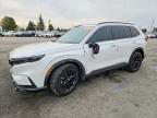 2025 Honda Cr-v Sport
