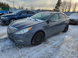 Salvage cars for sale from Copart Bowmanville, ON: 2013 Hyundai Sonata se