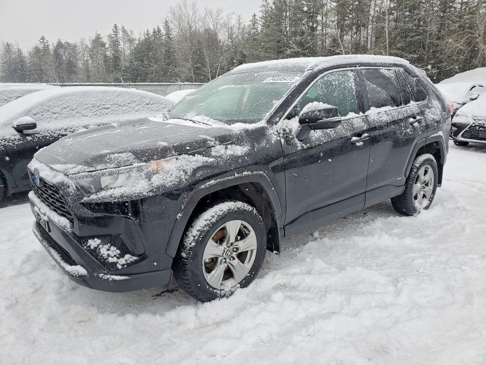 2024 Toyota Rav4