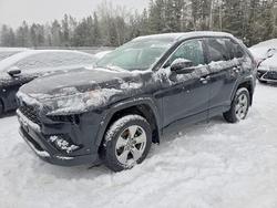 2024 Toyota Rav4 for sale in Cookstown, ON