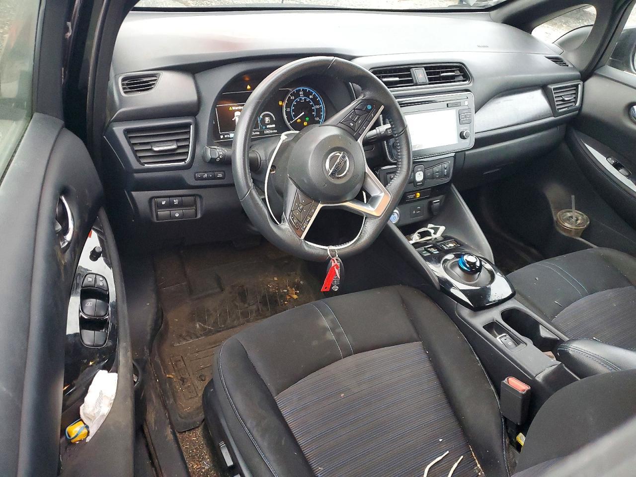 2019 Niss Leaf sv