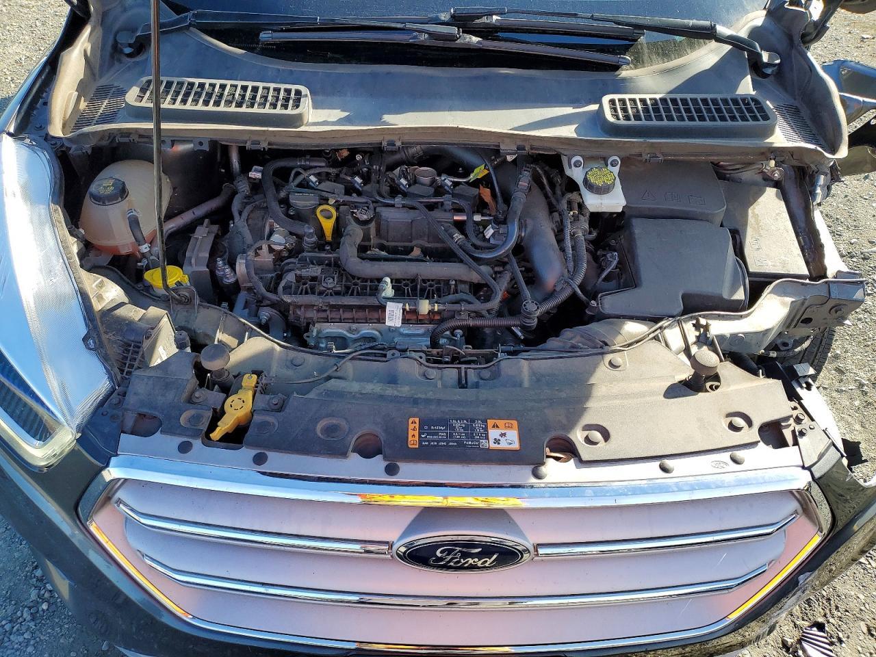 2019 Ford Escape sel