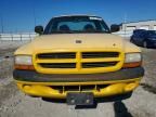 1999 Dodge Dakota