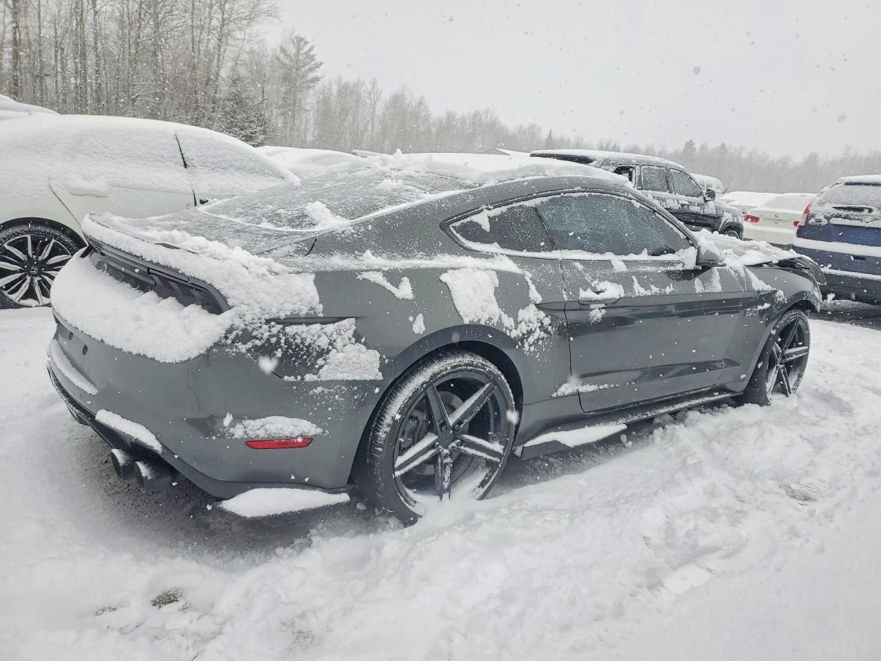 2019 Ford Mustang gt
