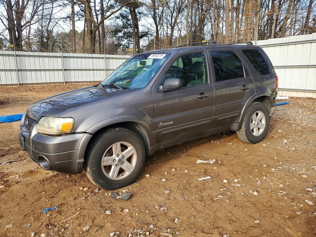 2006 Ford Escape hev