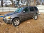 2006 Ford Escape hev