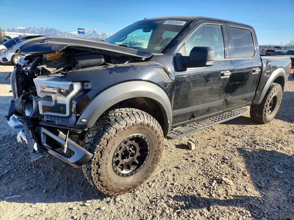 2018 Ford F150 Raptor