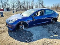 Salvage cars for sale from Copart Baltimore, MD: 2023 Tesla Model 3