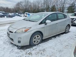 Toyota salvage cars for sale: 2010 Toyota Prius
