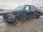2023 Chevrolet Silverado K1500 Trail Boss Custom