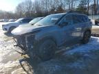 2025 Niss Rogue Rock Creek