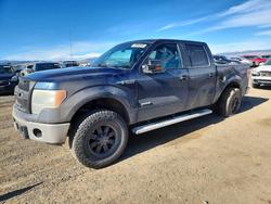 Salvage trucks for sale at Helena, MT auction: 2014 Ford F150 Supercrew