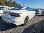 2019 Nissan Maxima s